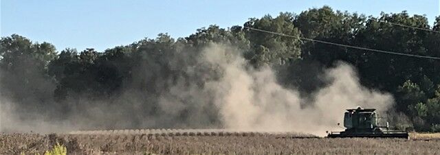 Soybeans